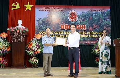 Cấp chứng nhận nhãn hiệu 'Vải trứng Hưng Yên'