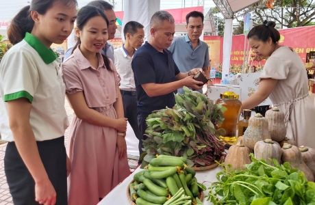 Hà Nội có cả trăm sản phẩm rau an toàn đạt OCOP 3, 4 sao