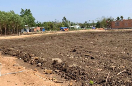 Đồng Nai chỉ đạo kiểm tra, giám sát việc phân lô bán nền trái phép tại Biên Hòa và Long Khánh