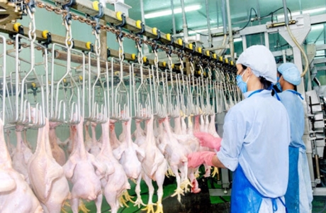 Doanh nghiệp Việt đang đuối sức, hãy dè chừng nguy cơ bị thâu tóm