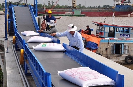 Xuất khẩu gạo sang Philippines vẫn đứng đầu về kim ngạch