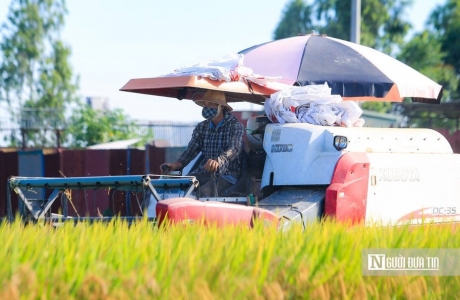 Chuyển đổi số nông nghiệp Việt và bài học “tam giác quan hệ” từ Israel