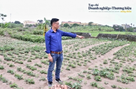 Thái Bình: Một mảnh đất tồn tại 2 sổ đỏ 