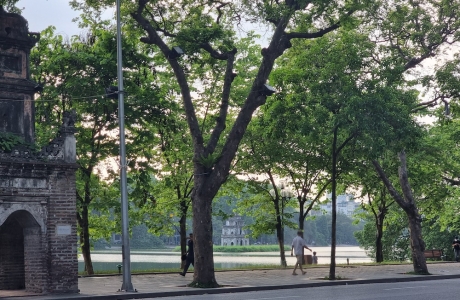 Hà Nội ơi! Sao mà yêu đến thế