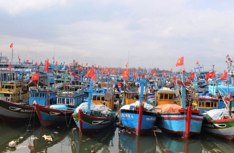 Nghiên cứu hỗ trợ ngư dân ảnh hưởng do giá xăng, dầu