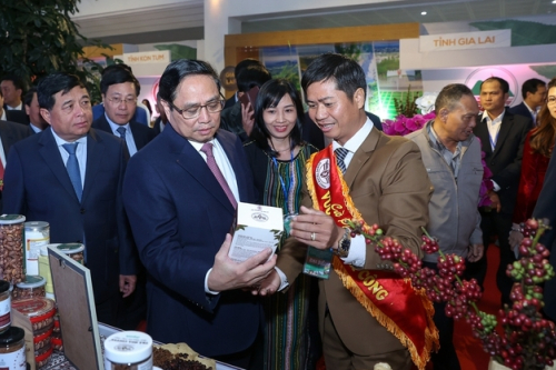 Phát triển vùng Tây Nguyên 
