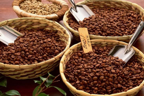Giá cà phê hôm nay 12/8: cao nhất ở mức 67.700 đồng/kg