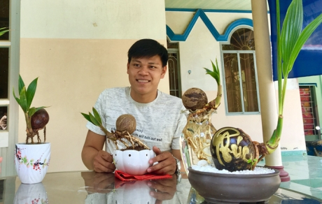 Độc đáo Bến Tre: Bonsai dừa độc lạ giá hơn triệu một chậu bé tí