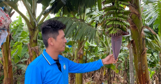 Lợi nhuận vượt kế hoạch, bầu Đức thưởng Tết đậm cho nhân viên