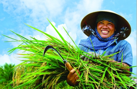 5 Sự kiện nổi bật của lĩnh vực ngành nghề nông nghiệp, nông thôn