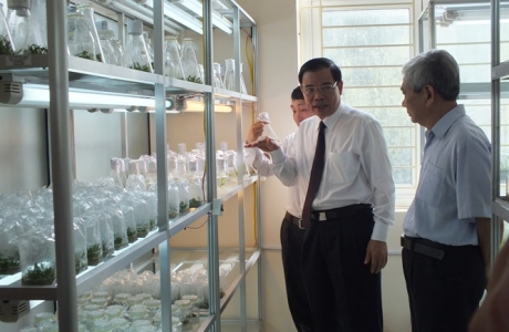Nông nghiệp vẫn tiềm ẩn sự thiếu bền vững