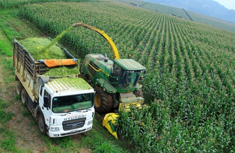 Nhiều tín hiệu lạc quan với nông nghiệp