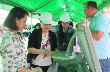 Hỗ trợ phát triển chuỗi nông sản sạch
