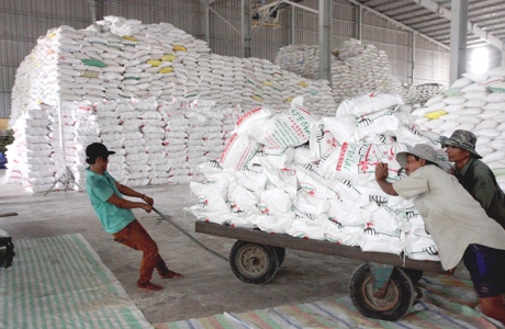 Ngành nông nghiệp làm gì để cán đích xuất khẩu 40 tỷ USD?