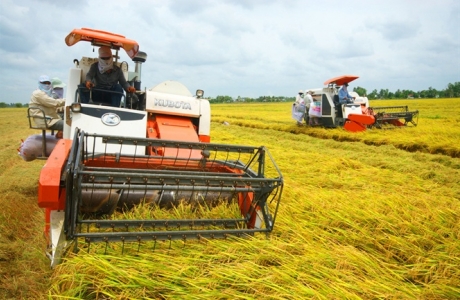 Nông nghiệp 6 tháng đầu năm: Thắng lớn, nhưng không chủ quan!