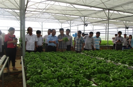 Nông nghiệp hữu cơ thích ứng biến đổi khí hậu