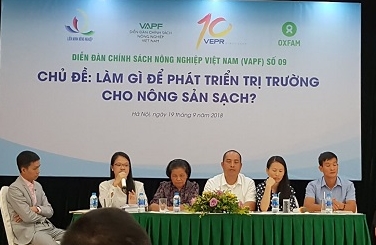 LOAY HOAY GIẢI BÀI TOÁN THỊ TRƯỜNG CHO NÔNG SẢN SẠCH