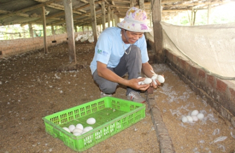 Hưng Yên: Lan tỏa hội nghề nghiệp giúp nhau cùng làm giàu