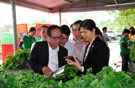 Xây dựng thương hiệu nông sản sạch có dễ?