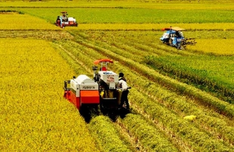 Ngành nông nghiệp tăng trưởng vượt kế hoạch đề ra