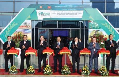 10 năm Nghị quyết 'tam nông': Khơi thông 'điểm nghẽn' đất đai và thị trường