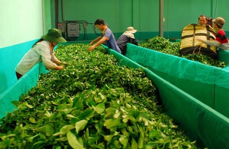 ‘Bứt phá 2019’ - phải được xem như mệnh lệnh