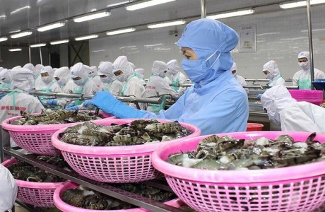Bộ Công Thương cảnh báo nhập siêu 3 tỷ USD năm 2019