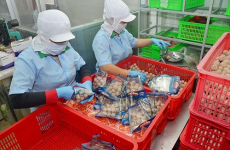 Giảm thuế để doanh nghiệp 