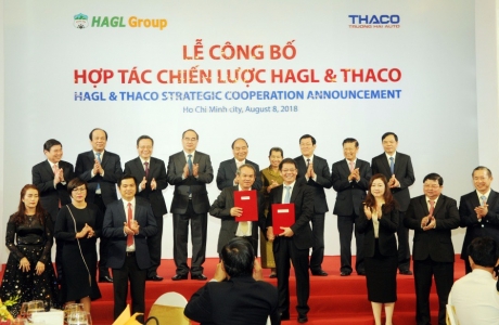 Thaco tính chi hơn 1.000 tỉ đồng mua 69,7 triệu cổ phiếu HAGL Agrico