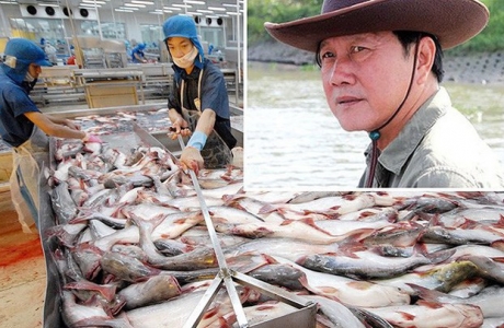 Dù lãi 7 tỷ trong quý 2, Hùng Vương sau 
