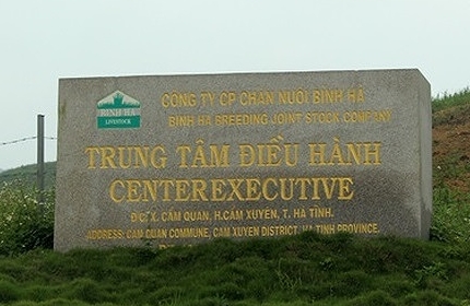 “Thông tin THACO tiếp quản dự án Chăn nuôi Bình Hà là không chính xác“
