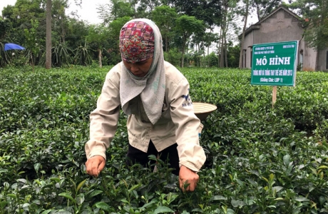 Miền núi phía Bắc đổi thay rõ rệt, không còn xã dưới 5 tiêu chí