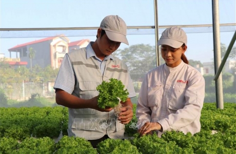 Nghị quyết về giải pháp khuyến khích, thúc đẩy doanh nghiệp đầu tư vào nông nghiệp
