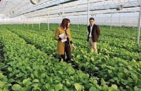 Khuyến khích, thúc đẩy đầu tư vào nông nghiệp: Tăng cường kết nối ngân hàng - doanh nghiệp