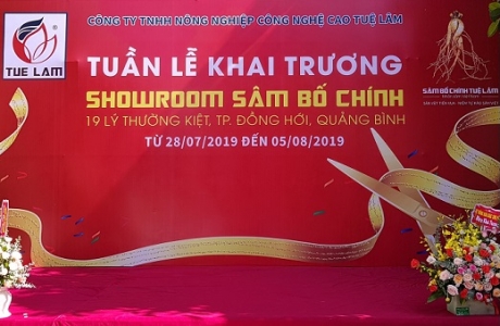 Quảng Bình: Khai trương Showroom “Sâm Bố Chính - Nhân Sâm Việt” đầu tiên tại Việt Nam.