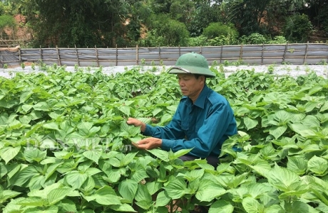 Người dân Bao La góp tiền, hiến đất làm nông thôn mới