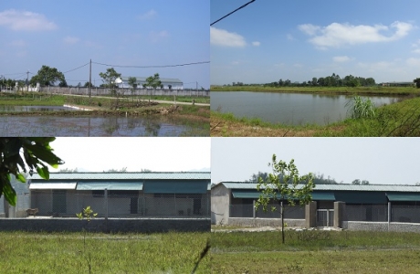 Trang trại trái phép của Tập đoàn Hoành Sơn, Hà Tĩnh: Vì sao khó xử lý?