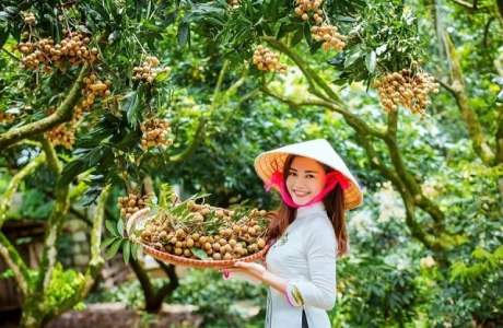 Hưng Yên: Quyết tâm xây dựng thương hiệu nhãn lồng 5 sao