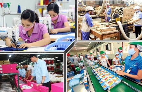 Phải giữ doanh nghiệp 'sống' trước khi nghĩ đến giảm thuế cho họ