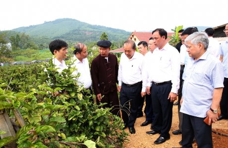 Phó Thủ tướng Thường trực thăm hộ đồng bào dân tộc Sán Dìu làm kinh tế giỏi