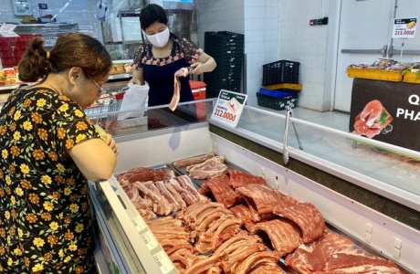 9.000 con lợn sống Thái Lan về Việt Nam bán ở đâu?