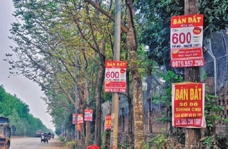 'Bốc thuốc' đặc trị sốt đất, HoREA đề nghị ban hành hàng loạt thuế mới