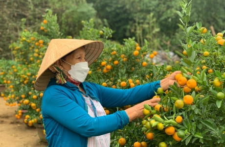 Người dân 