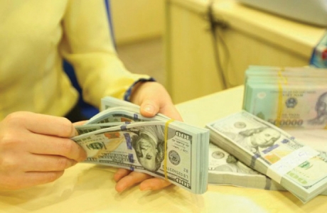 Nên vay USD hay VND?