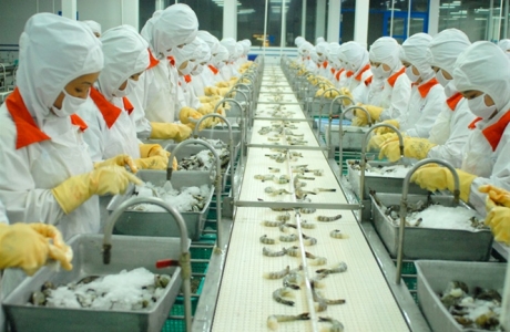 Ứng dụng khoa học công nghệ phát triển bền vững ngành tôm tại Việt Nam 