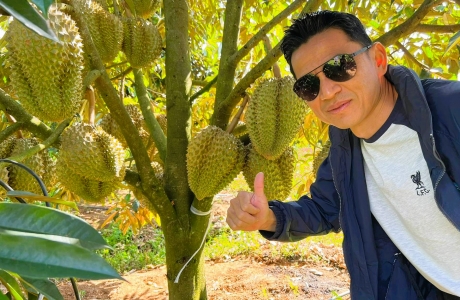 Kiatisuk tham quan nông trường sầu riêng sắp thu hoạch của bầu Đức