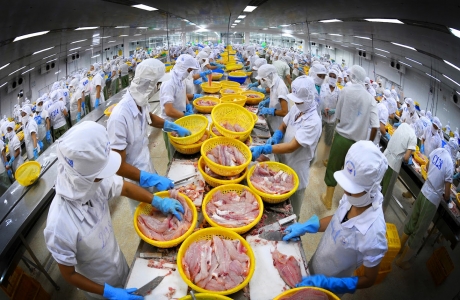 Phê duyệt chiến lược phát triển cơ giới hóa nông nghiệp và chế biến nông - lâm - thủy sản