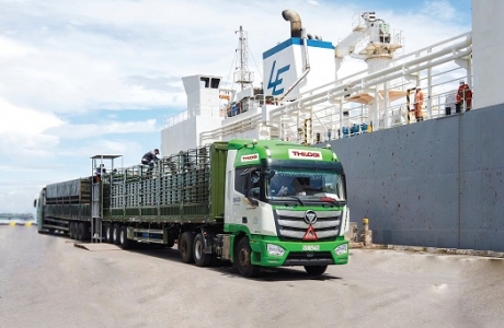 THILOGI cung ứng dịch vụ vận chuyển gia súc chuyên nghiệp
