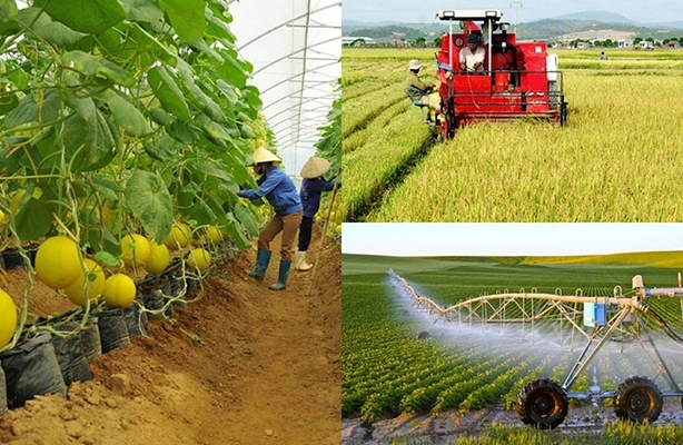 Tiếp tục đổi mới, hoàn thiện cơ chế chính sách thúc đẩy phát triển kinh tế tập thể, hợp tác xã