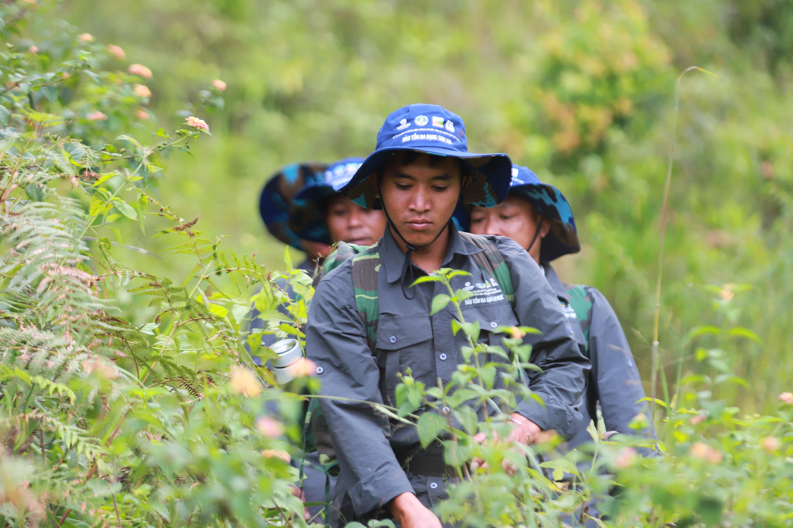 thoái hóa đất - Ảnh 3.